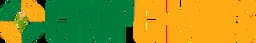 Debut Infotech pvt. ltd. Logo