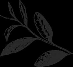 agri-background-1