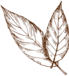 agri-background-2