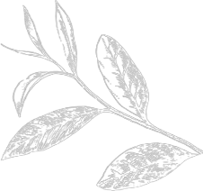 Agriculture Background-Image